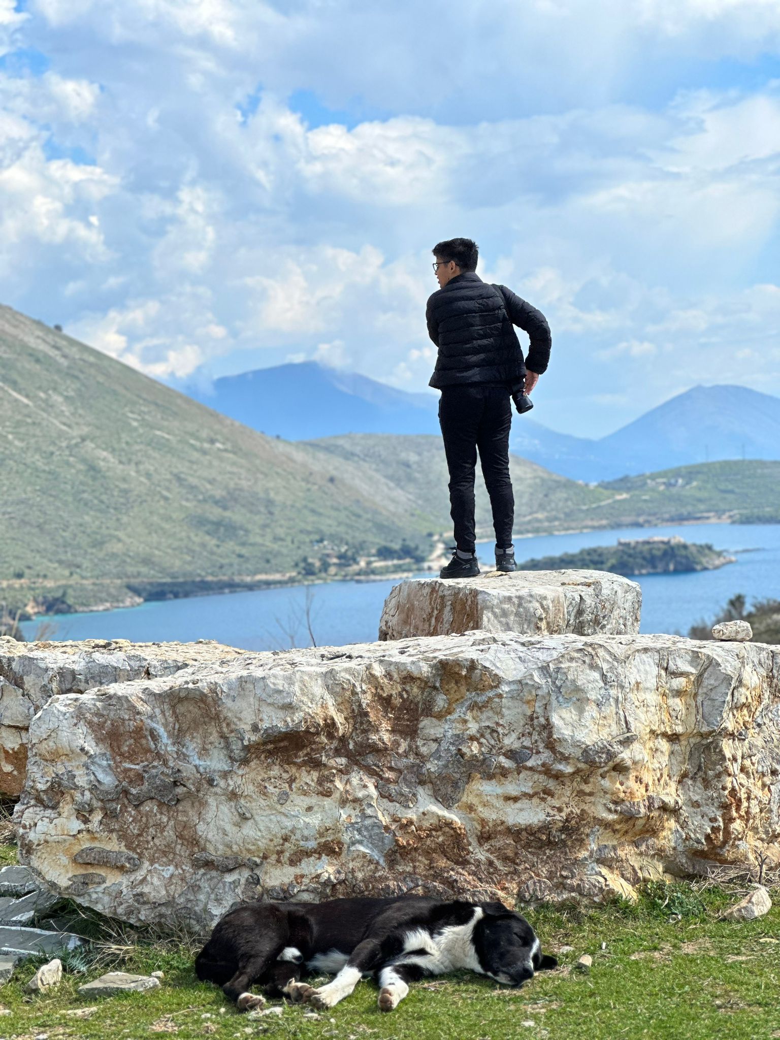 Lincoli looking out over a bay on a hillside